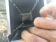 Peromyscus fraterculus