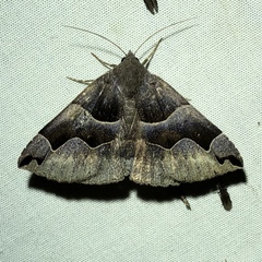 Gondysia
