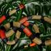 Black-necked Amazonian Coralsnake - Photo (c) Martin Acosta, some rights reserved (CC BY-NC), uploaded by Martin Acosta