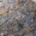 Encrusting Bryozoan - Photo (c) David Renoult, some rights reserved (CC BY-NC), uploaded by David Renoult