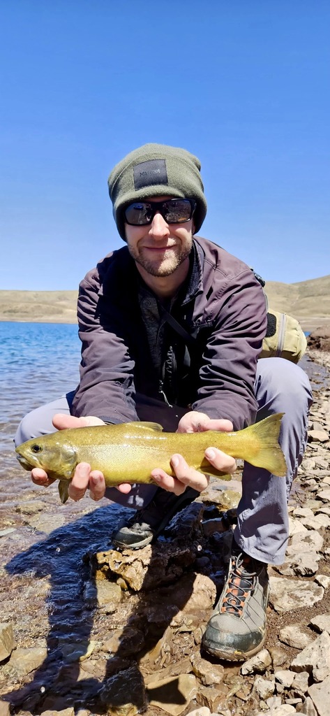 Isli Trout