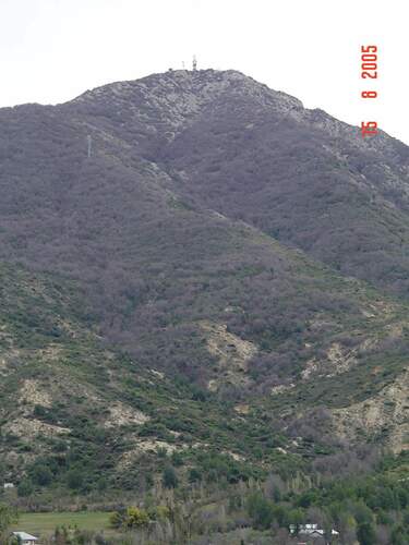 Image of Nothofagus macrocarpa by (c) Cesar Ormazabal, some rights reserved (CC BY)