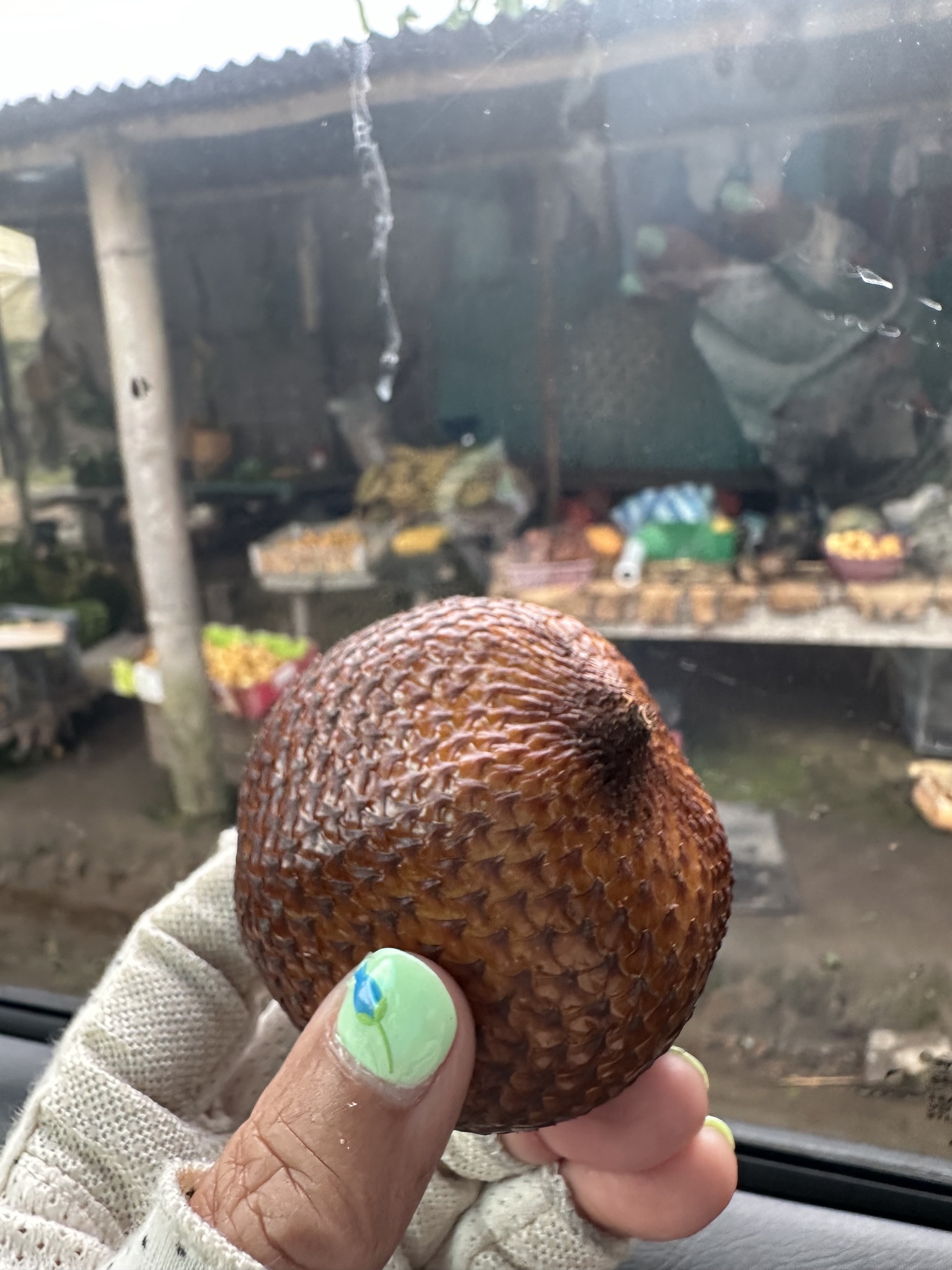Imagem de Salak