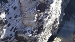 Ecchlorolestes peringueyi