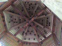 Hipposideros armiger terasensis