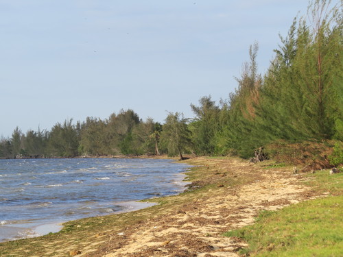 Playa del Océano