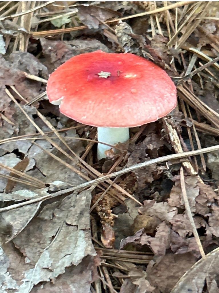 Life from Owens Store Rd, Canton, GA, US on May 16, 2024 at 0948 AM by