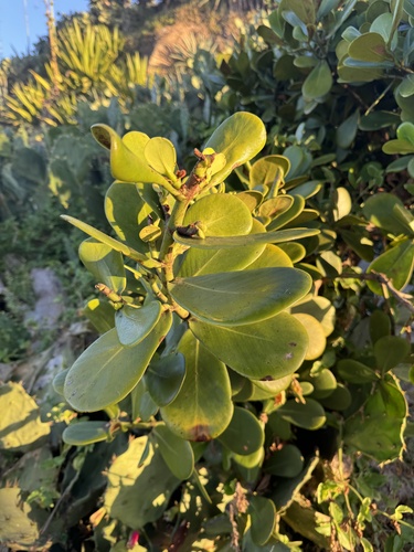 Foto de Abaneiro