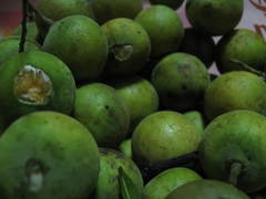 Melicoccus bijugatus