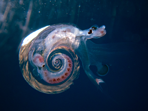 Representative image of Atlanta