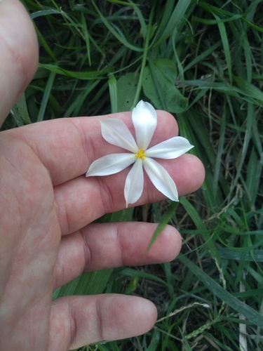 Foto de Marupazinho