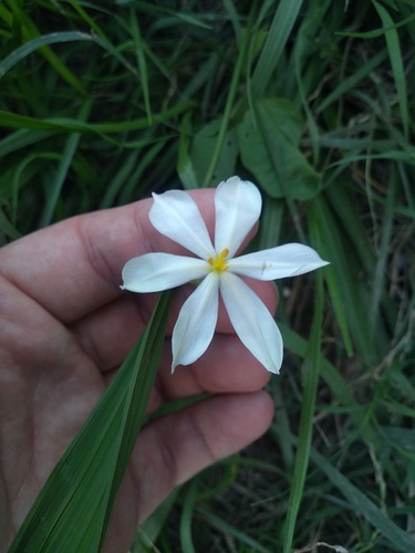 Foto de Marupazinho