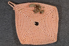 Sceliphron curvatum