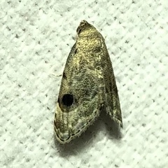 Abablemma brimleyana