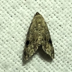 Abablemma brimleyana