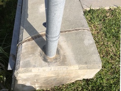 Lycodon semicarinatus