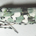Ethioterpia marmorata - Photo no hay derechos reservados, subido por Botswanabugs