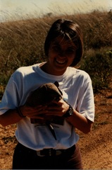 Cabassous unicinctus