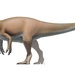 Allosaurus fragilis - Photo (c) Fred Wierum, algunos derechos reservados (CC BY-SA)