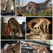 Sauropods - Photo (c) Greg, some rights reserved (CC BY-SA)