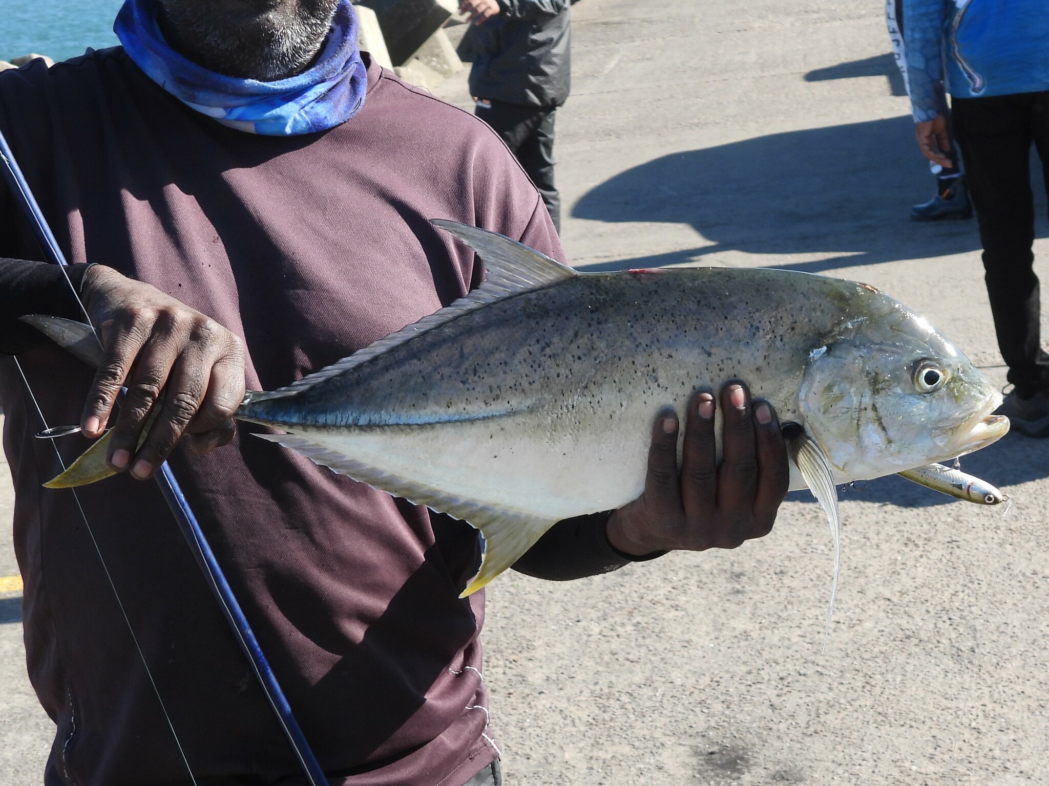 Species image