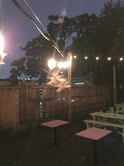 Coptotermes formosanus