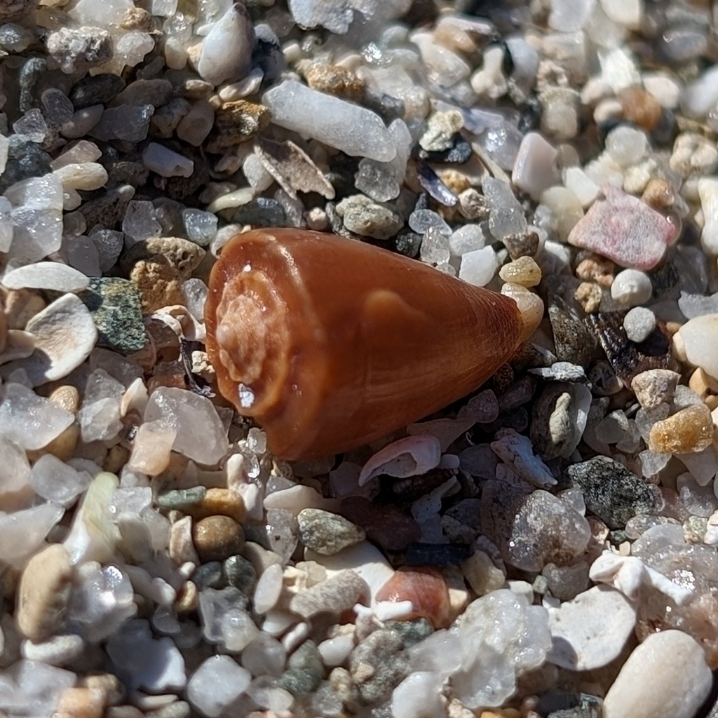 Burnished Cone
