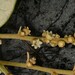 Licania parviflora - Photo (c) Robin Heymans, algunos derechos reservados (CC BY-NC), subido por Robin Heymans