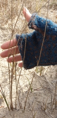 Juncus filiformis