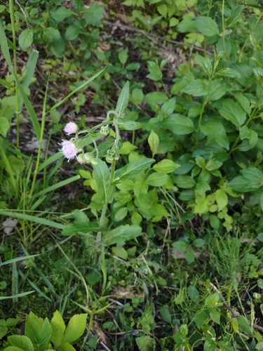 LaVallee Esker Trail