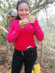 Marisora