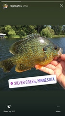 Lepomis gibbosus × cyanellus