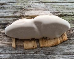 Truncospora ochroleuca