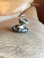 Geastrum pseudolimbatum