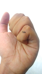 Myrmarachne jacksoni