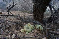 © Joey Santore, some rights reserved (CC-BY-NC)