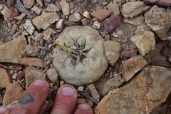 © Joey Santore, some rights reserved (CC-BY-NC)