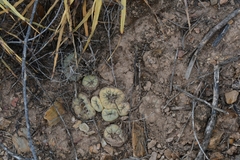 © Joey Santore, some rights reserved (CC-BY-NC)