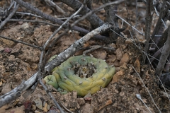 © Joey Santore, some rights reserved (CC-BY-NC)