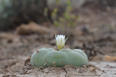 © Joey Santore, some rights reserved (CC-BY-NC)