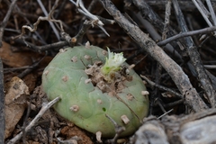 © Joey Santore, some rights reserved (CC-BY-NC)