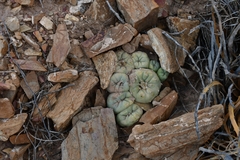 © Joey Santore, some rights reserved (CC-BY-NC)