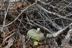 © Joey Santore, some rights reserved (CC-BY-NC)