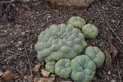 © Joey Santore, some rights reserved (CC-BY-NC)