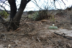 © Joey Santore, some rights reserved (CC-BY-NC)