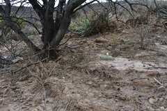 © Joey Santore, some rights reserved (CC-BY-NC)