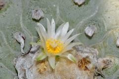 © Joey Santore, some rights reserved (CC-BY-NC)