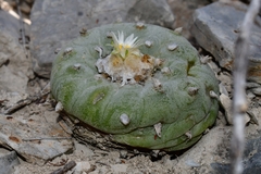 © Joey Santore, some rights reserved (CC-BY-NC)