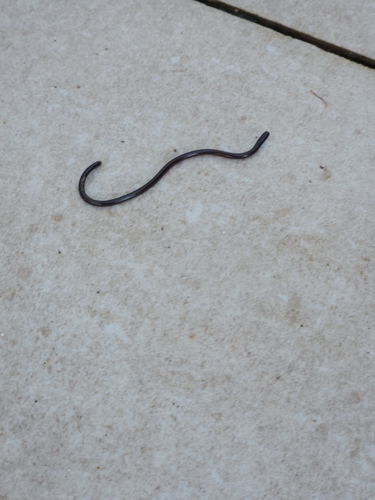 Santa Lucía Threadsnake