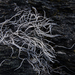 Whiteworm Lichen - Photo (c) Jessica Rosenkrantz, some rights reserved (CC BY-NC-ND), uploaded by Jessica Rosenkrantz